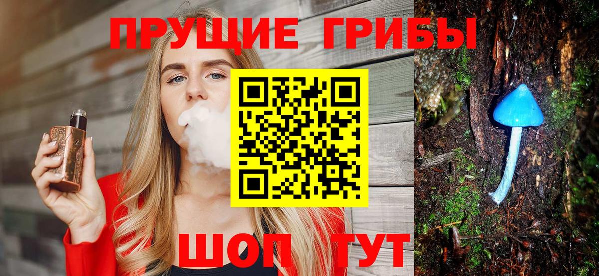 Псилоцибиновые грибы Cubensis  Вход с VPN  Лабинск 
